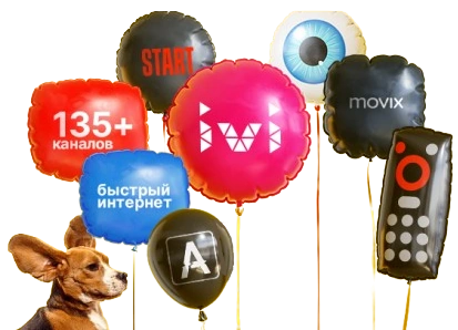 Услуги Дом.ру в село Чистоозёрка